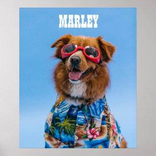 DESCARGA DIGITAL DE Arte De Pared De Perro mascota