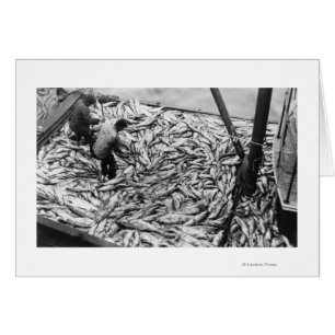 Descargando Salmón de las naves de pesca Fotografí