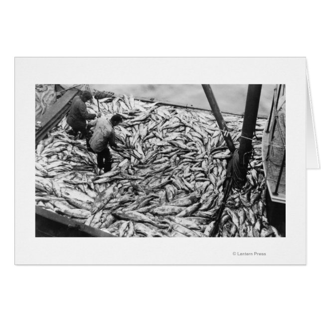 Descargando Salmón de las naves de pesca Fotografí (Anverso (Horizontal))