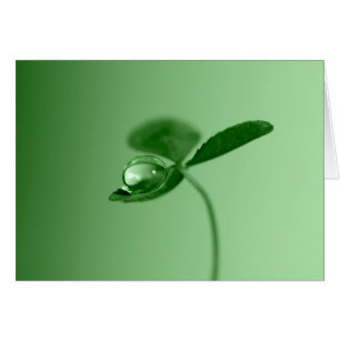 Descenso de rocío de la mañana