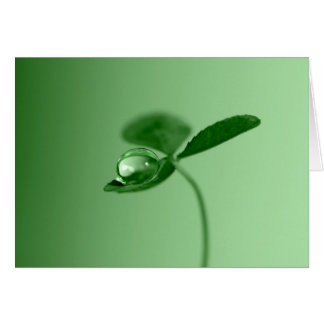 Descenso de rocío de la mañana