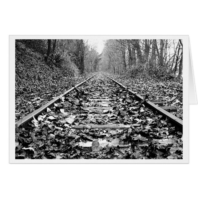 Desconocido del destino (Anverso (Horizontal))