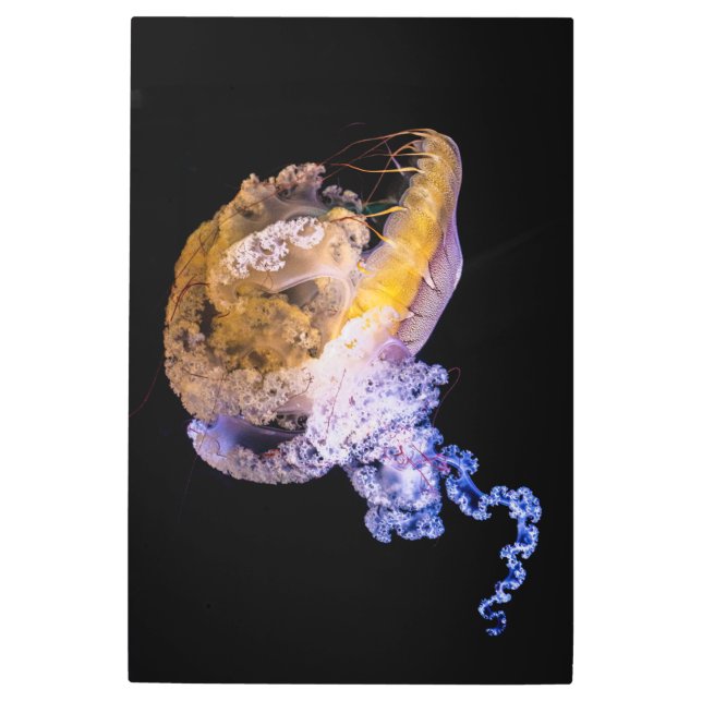 Descubre diseños únicos en arte mural Metalizado (Anverso)