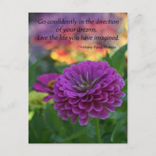 Descuento inspirador de las postales por lotes Zin