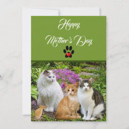 Desde el gato Feliz día de la madre tarjeta plana