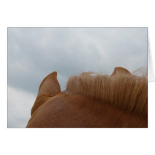 Desde el punto de vista de un caballo, orejas de c