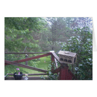 Desde la puerta del Porche