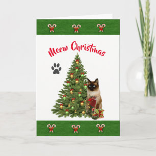 Desde la tarjeta de Navidad del gato