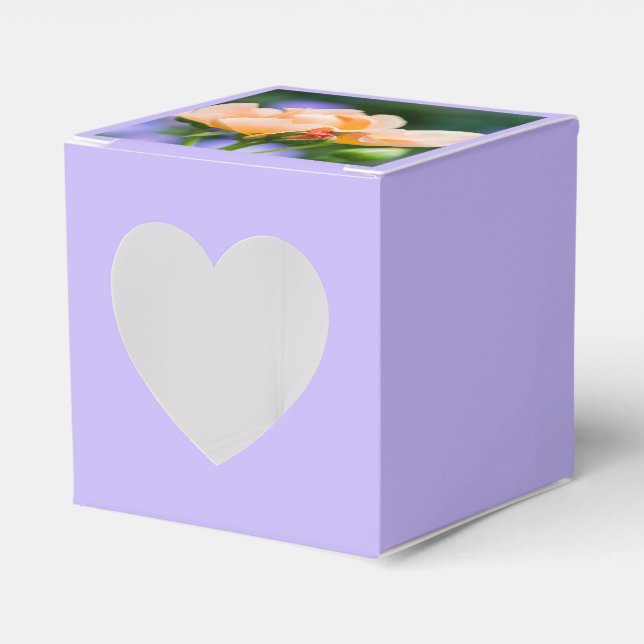 desdoblador de la caja de preferencias de deseo (Anverso)