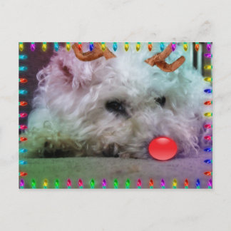 DESEÁNDOLE FELIZ NAVIDAD