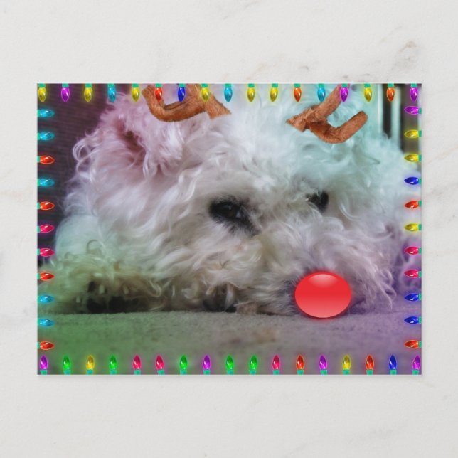 DESEÁNDOLE FELIZ NAVIDAD (Anverso)