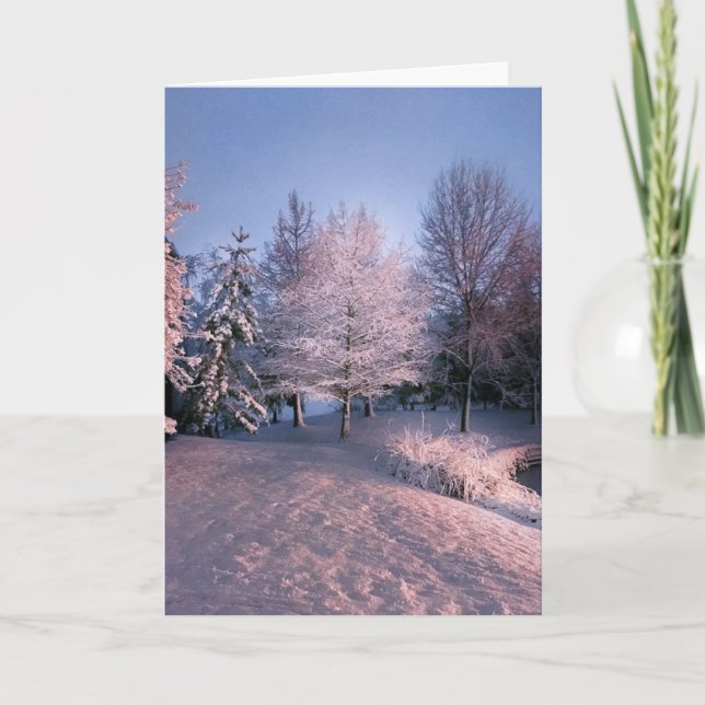 Deseándole la paz esta navidad (tarjeta) (Anverso)