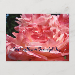 Deseándole un hermoso día! tarjeta postal Rosas ro