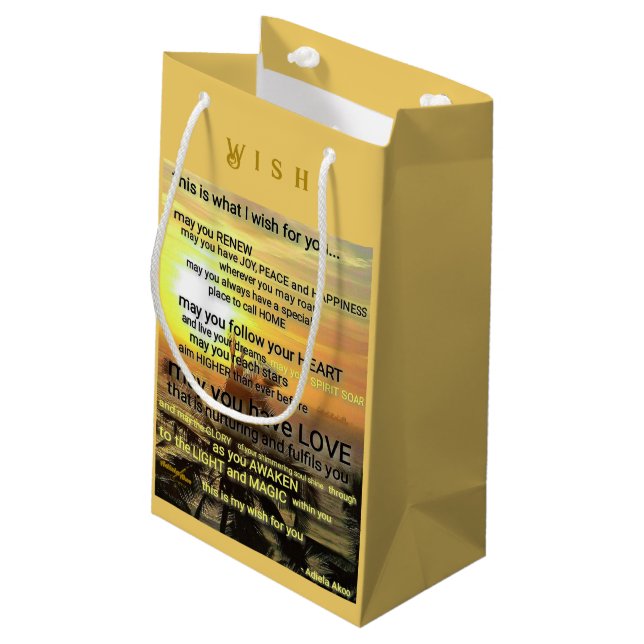 Desear una pequeña bolsa de regalo de Adiela Akoo (Angulo reverso)