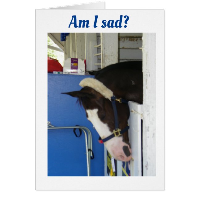 DESEARÍA PODER DECIRLES *FELIZ CUMPLEAÑOS* EN PERS (Frente)