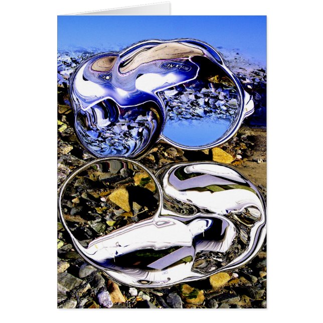 Desechos del espacio ultraterrestre (Frente)