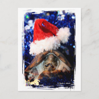 Desembocadura de tortuga de musgo con navidad sant
