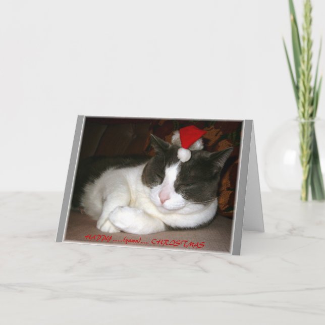 Deseo del navidad de un gato (Anverso)