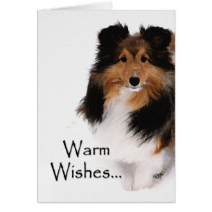 Deseos calientes de Sheltie