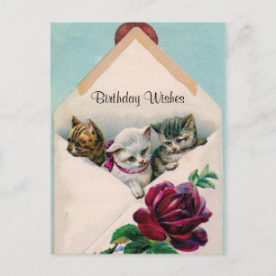 Deseos de cumpleaños - Gatitos en sobres - Tarjeta