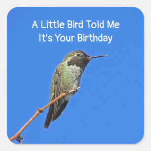 Deseos de cumpleaños humorísticos Sello para sobre
