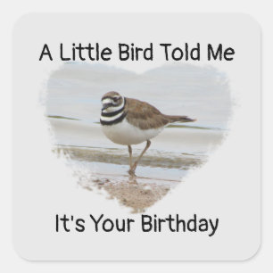 Deseos De Cumpleaños Pequeño Sello para sobres De