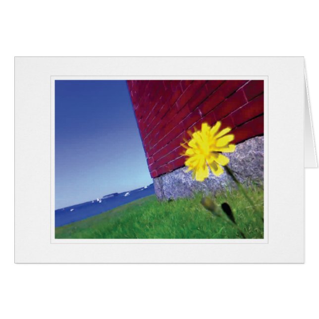 Deseos de mañana (Anverso (Horizontal))