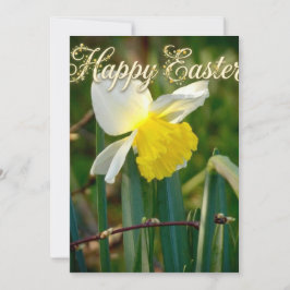 Deseos de narciso y Pascua