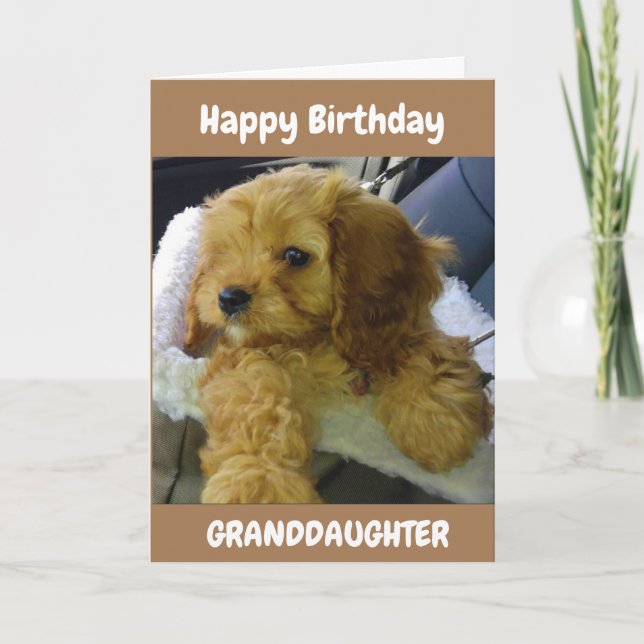 DESEOS DE PUPPY PARA **GRANDDAUGHTER** TARJETA DE  (Anverso)