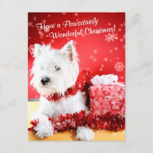 Deseos del navidad de Terrier blanco de montaña