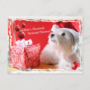 Deseos del navidad de Terrier blanco de montaña