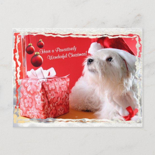 Deseos del navidad de Terrier blanco de montaña (Anverso)