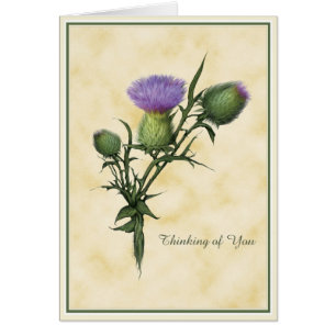 Deseos del Wildflower