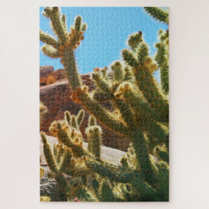 Desert Cholla Cactus Suroeste Puzzle Jigsaw