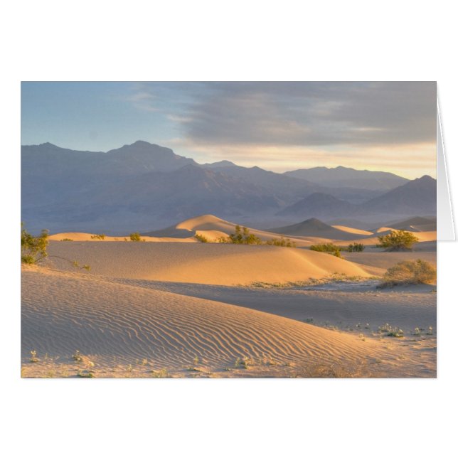 Desert Dawn (Anverso (Horizontal))