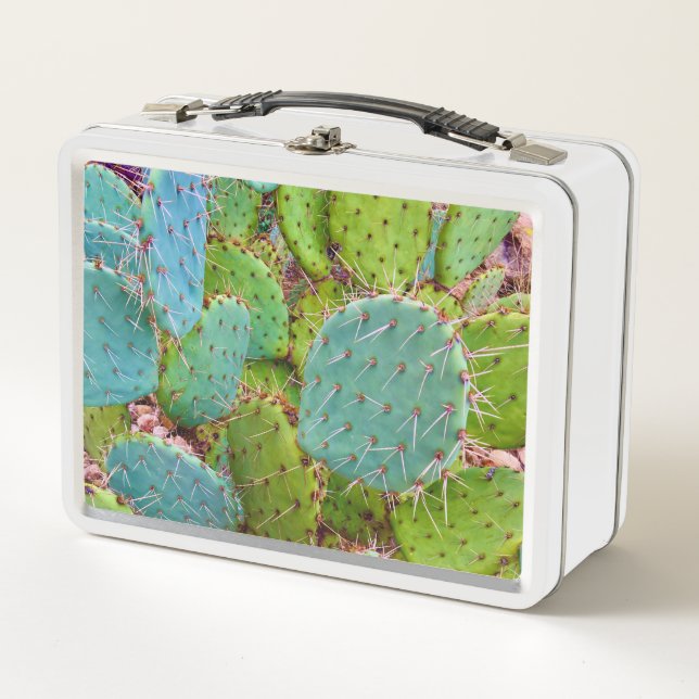 Desert Pricky Pear Cactus Green Garden (Anverso)