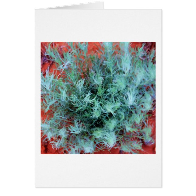 Desert Sage (Frente)