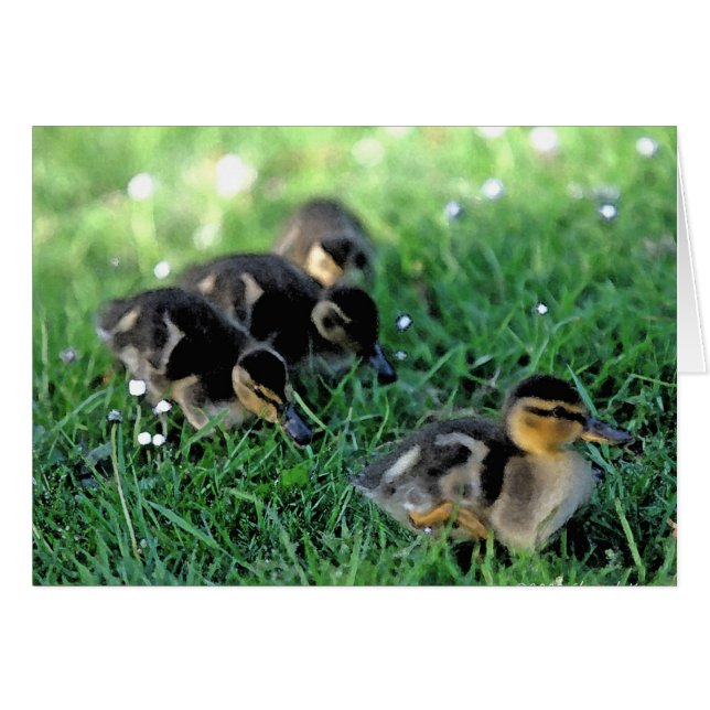 Desfile de duckling (Anverso (Horizontal))