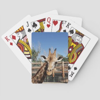 Desgarrador jugando cartas