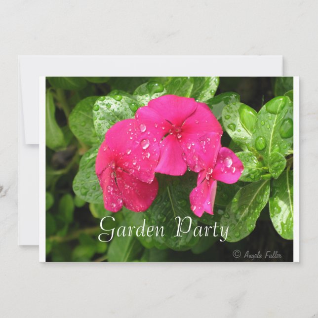 Desgloses en invitaciones a la fiesta de Periwinkl (Anverso)