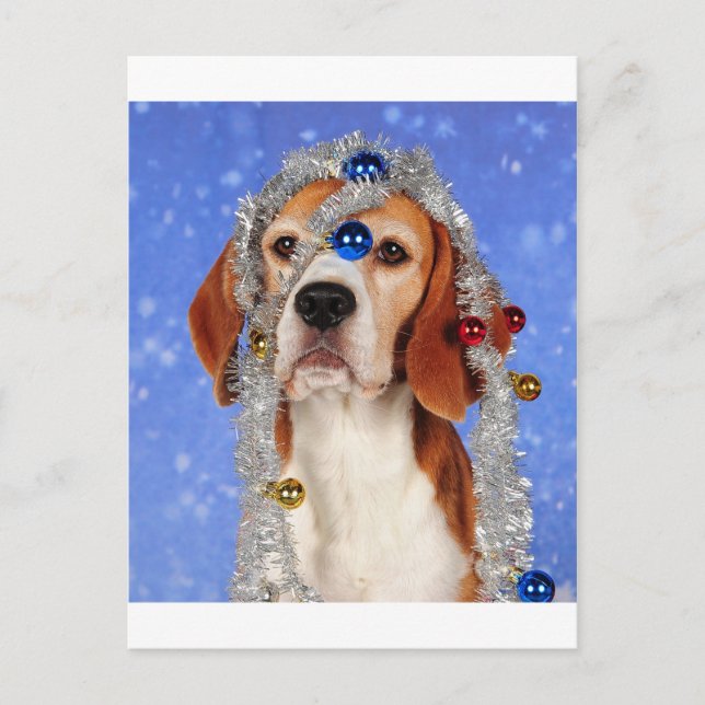 Desgracia del navidad (Anverso)