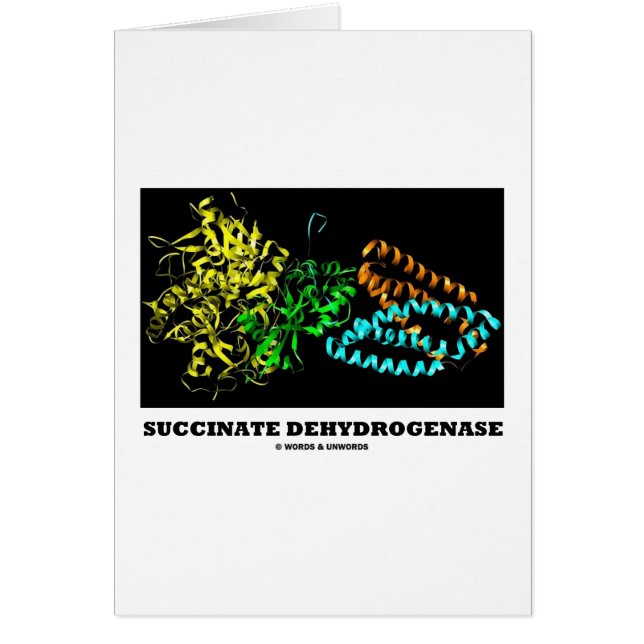 Deshidrogenasa del succcinato (química) (Frente)