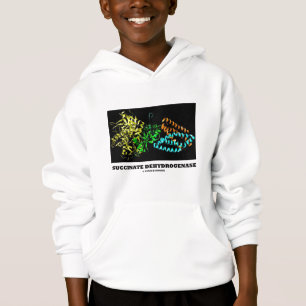 Deshidrogenasa del succcinato (química)