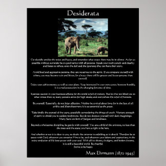 Desiderata a herd of elephants in africa Posters