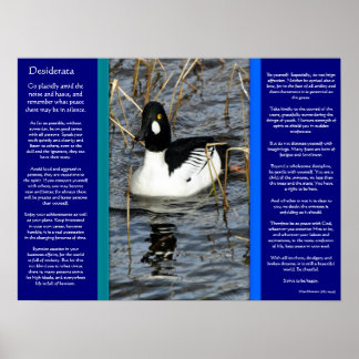 DESIDERATA APARENTEMENTE Posters 2