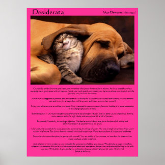 Desiderata bajo los beagle orejas Posters durmiend
