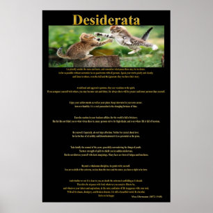 Desiderata Cat Fight Posters 1a