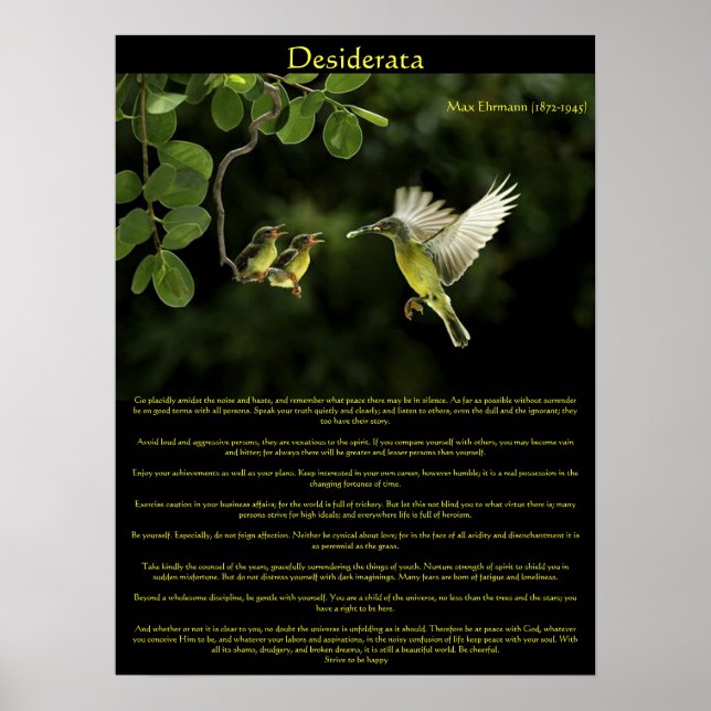 Desiderata Hummingbird Posters 3 (Frente)