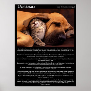 Desiderata Jóvenes Posters de Amor 2
