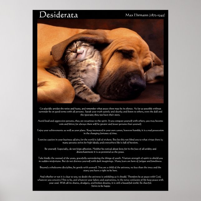 Desiderata Jóvenes Posters de Amor 2 (Frente)